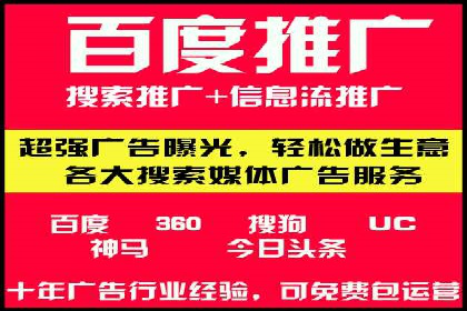 某电商平台的SEM广告投放策略及效果评估